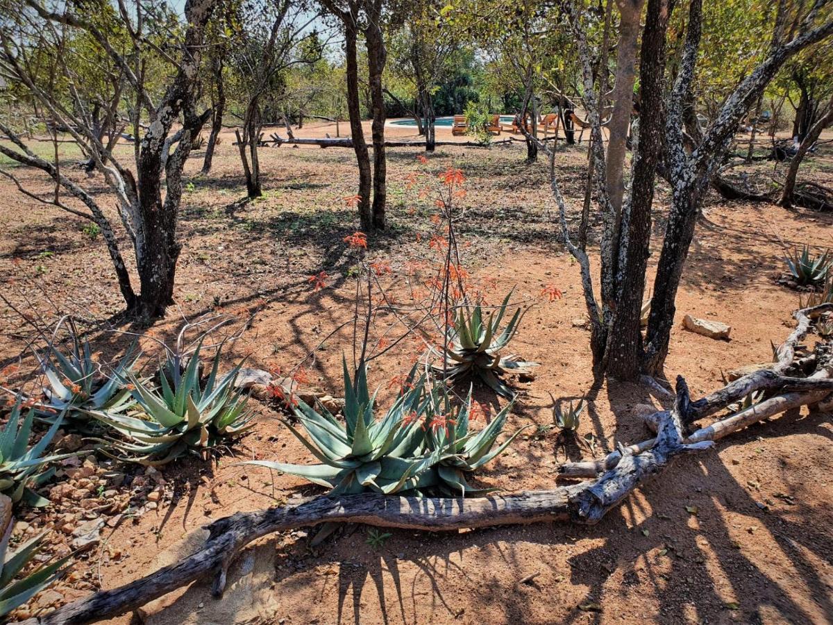 Masorini Bush Lodge Phalaborwa Exterior photo