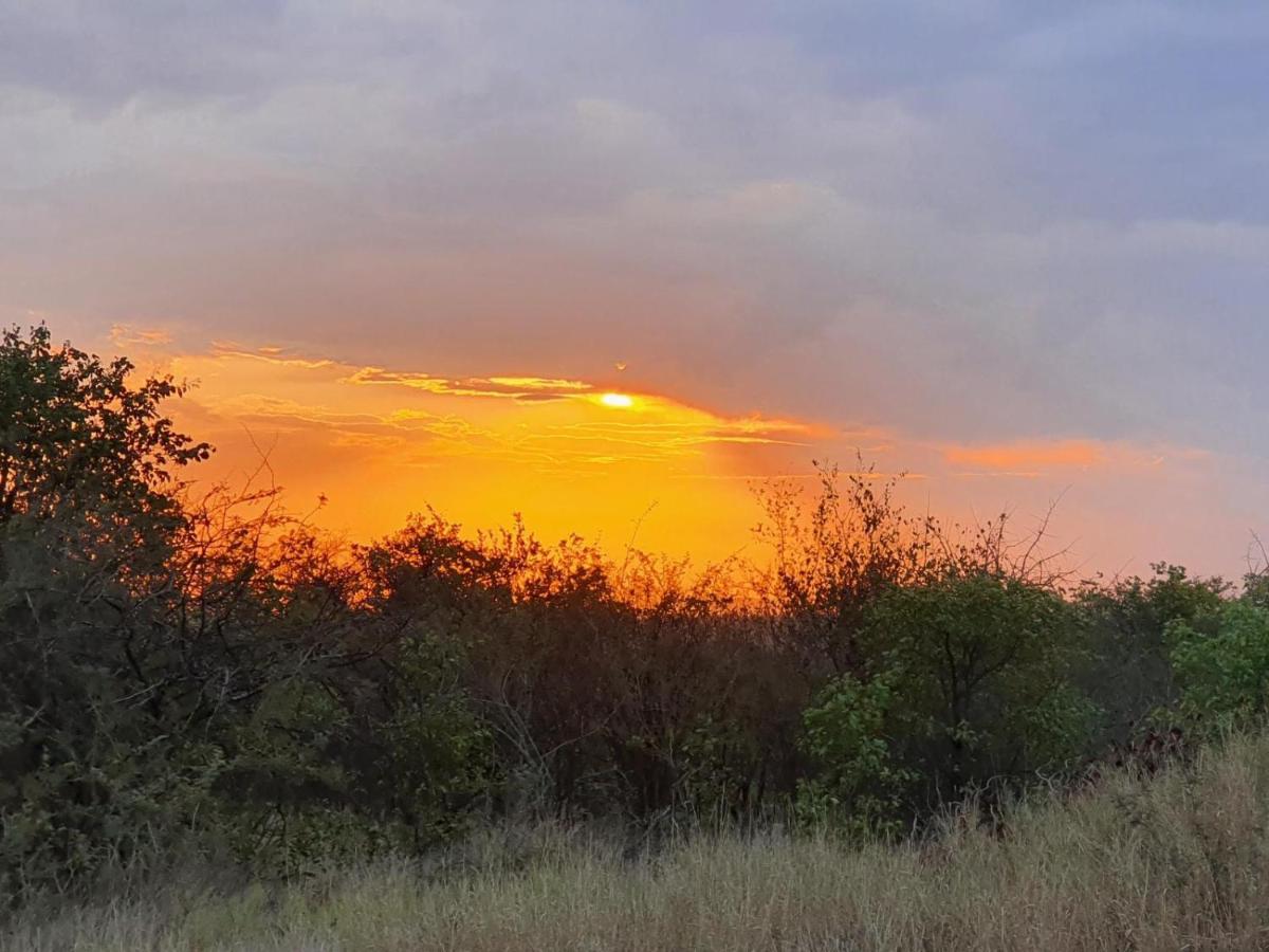 Masorini Bush Lodge Phalaborwa Exterior photo