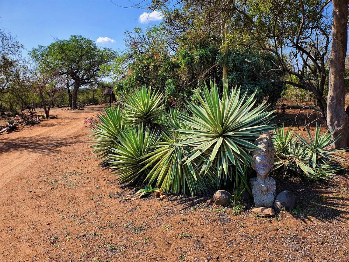 Masorini Bush Lodge Phalaborwa Exterior photo