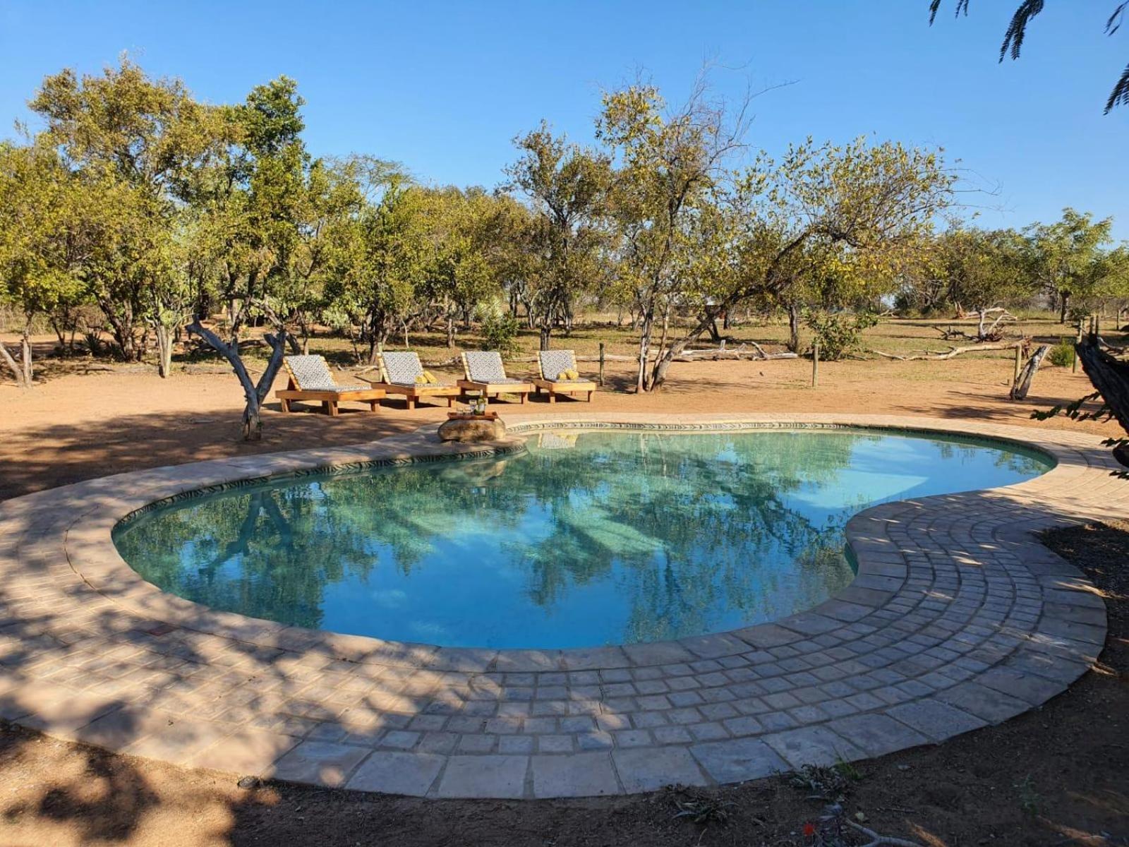 Masorini Bush Lodge Phalaborwa Exterior photo